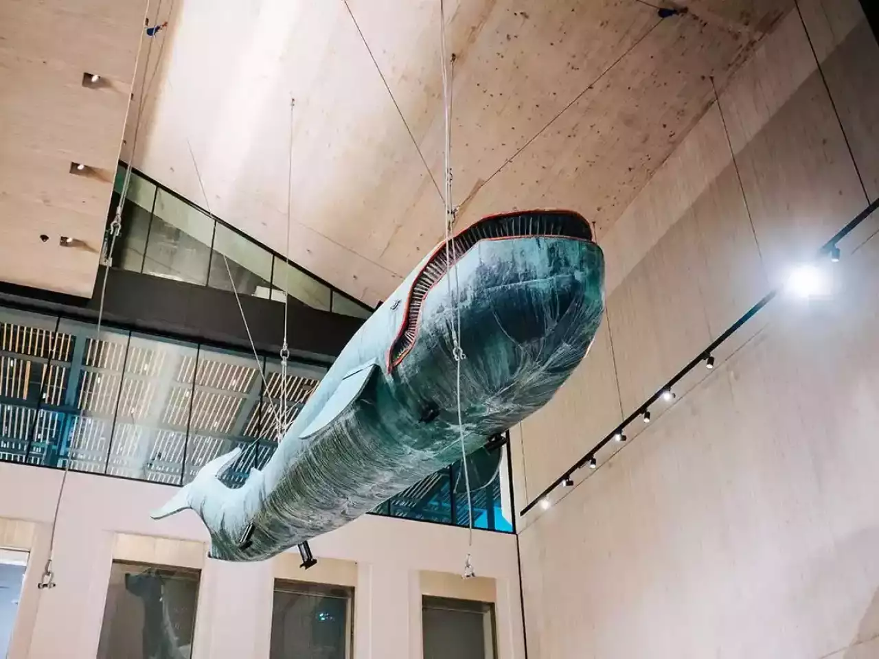 Wal im Wien Museum am Karlsplatz