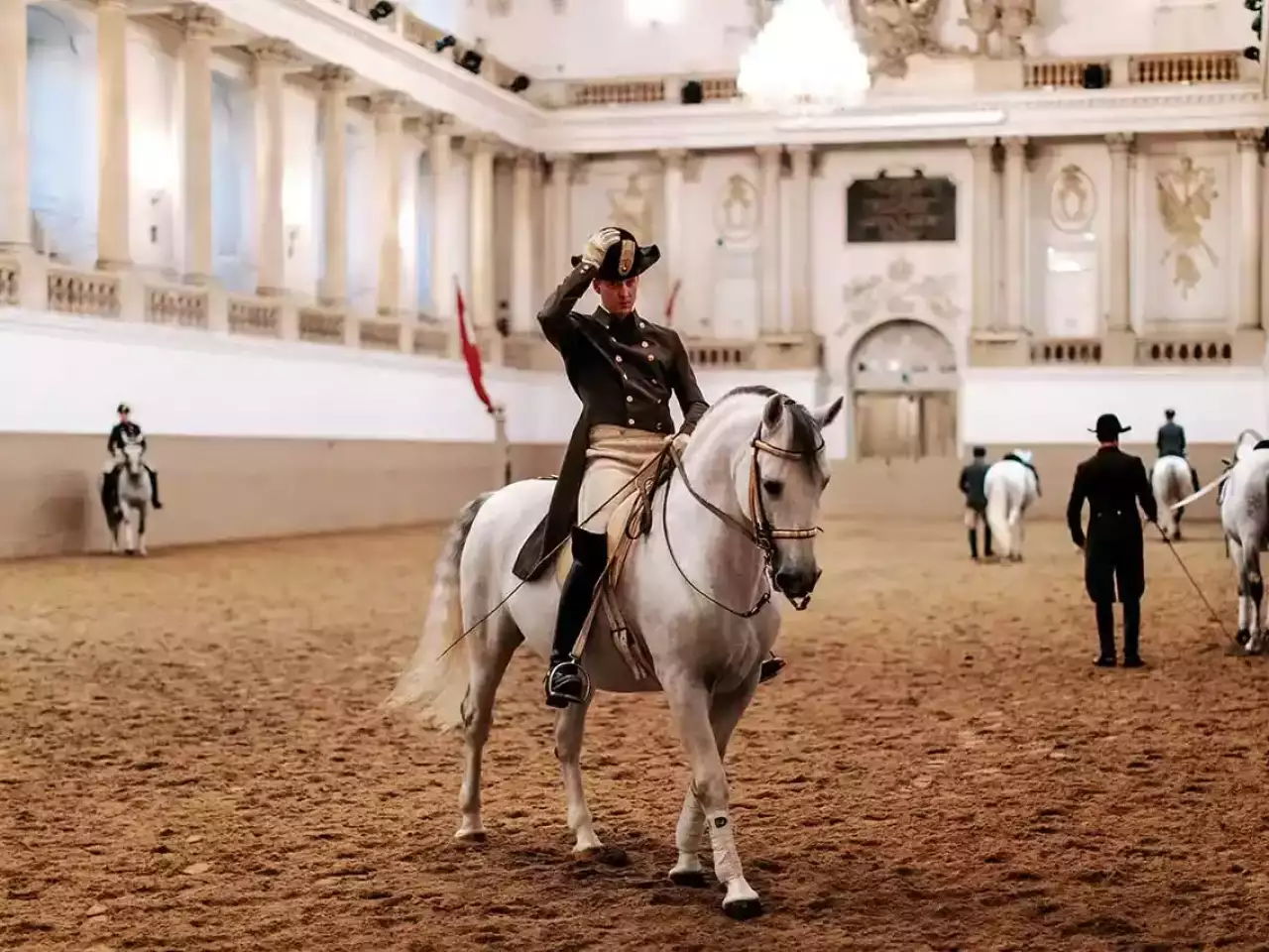 Reiter der Spanischen Hofreitschule auf Lipizzaner beim Training in der Halle